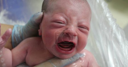 Téléchargez les photos : Newborn baby crying taking bath - en image libre de droit
