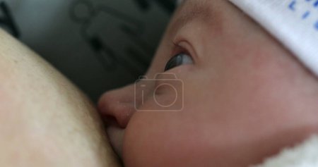 Photo for Newborn baby breastfeeding, close-up view - Royalty Free Image