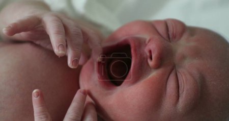 Photo for Infant newborn baby toddler crying, first minutes of life - Royalty Free Image