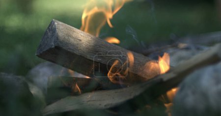 Photo for Piece of wood falling into fire camp, feeding small bonfire creating spark and flames, captured - Royalty Free Image