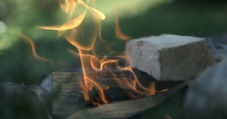 Photo for Wood Chunk Igniting Small Campfire in Ultra Slow-Motion, Fueling Bonfire with Timber, Sparks and Flames - Royalty Free Image