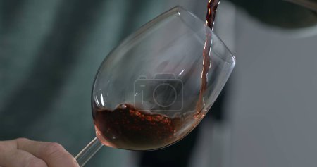 Téléchargez les photos : Service de vin capturé avec caméra. Verser la boisson dans le verre - en image libre de droit