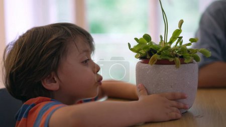 Photo for Curious child marveling at carnivorous flora, young boy gently interacting with a unique insect-eating plant - Royalty Free Image