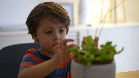 Téléchargez les photos : Enfant observant une plante carnivore. Un petit garçon touchant une plante exotique inhabituelle qui s'attaque aux insectes - en image libre de droit