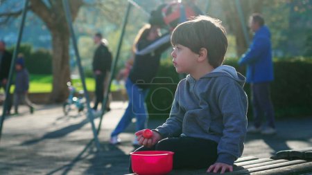 Photo for Small boy snacking strawberry at playground park bench. Child eating berry outdoors enjoying sunlight during fall autumn season - Royalty Free Image