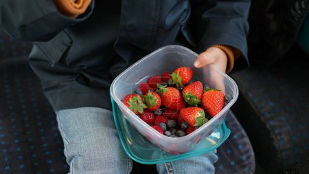 Photo for Close-up Child hand holding strawberries and blueberries inside travel container seated snacking healthy fruits - Royalty Free Image