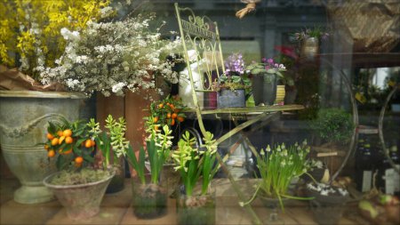Téléchargez les photos : Boutique de fleurs exposée derrière une fenêtre en verre, beauté traditionnelle pittoresque, petite entreprise - en image libre de droit