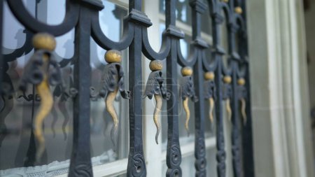 Foto de Puerta de ventana metálica protectora con adorno decorativo. Barrera estética contra intrusos con ornamentación - Imagen libre de derechos