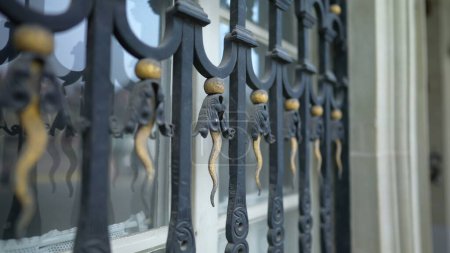 Téléchargez les photos : Porte-fenêtre en métal protecteur avec ornement décoratif. Barrière esthétique contre les intrus avec ornementation - en image libre de droit
