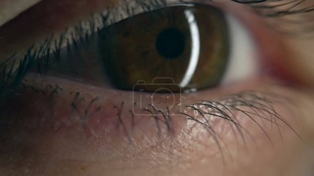 Foto de Detalle macro primer plano de la pupila del iris del globo ocular en foco, mirada de mirada intensa extrema - Imagen libre de derechos