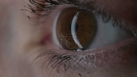 Foto de Extremo acercamiento macro del globo ocular de la mujer, detalle apretado del iris - Imagen libre de derechos