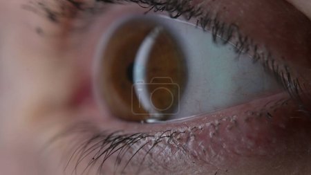 Téléchargez les photos : Macro gros plan du globe oculaire de la femme, serré extrême gros plan de l'œil d'iris - en image libre de droit