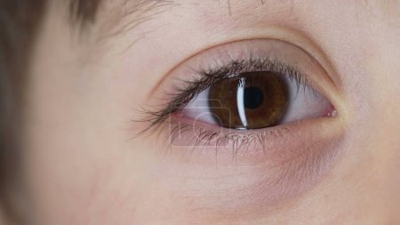 Téléchargez les photos : Macro-gros plan extrême de l'oeil de l'enfant regardant la caméra. rétine iris vue de l'enfant - en image libre de droit