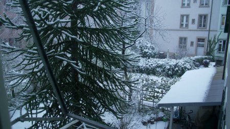 Foto de Vista de la temporada de invierno desde la residencia durante el día nevado - nevadas fuera del jardín en casa - Imagen libre de derechos