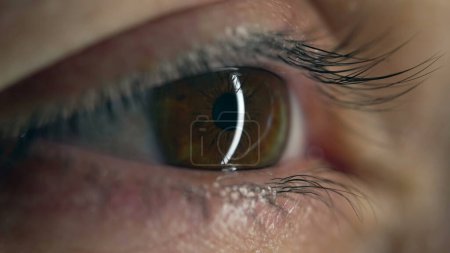 Photo for Extreme macro close up of person eye ball captured in wide angle, retina staring camera - Royalty Free Image