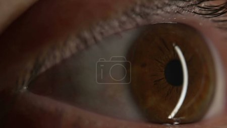 Foto de Extremo acercamiento macro del globo ocular de la persona - mirada intensa de la retina - Imagen libre de derechos