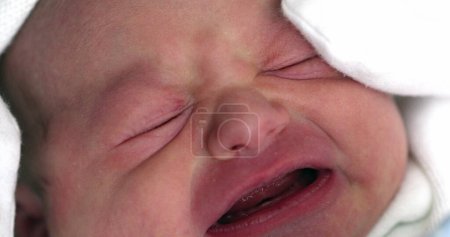 Téléchargez les photos : Close-up of newborn baby infant crying, first day of life - en image libre de droit