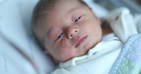 Photo for Baby newborn infant inside hospital crib after birth - Royalty Free Image