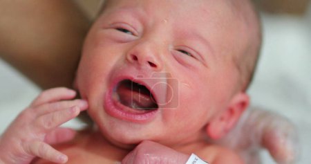 Photo for Newborn baby boy crying first day of life - Royalty Free Image
