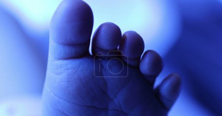 Téléchargez les photos : Closeup of infant newborn toddler feet under phototherapy - en image libre de droit