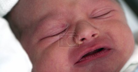 Téléchargez les photos : Newborn baby first day of life crying - en image libre de droit