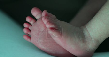 Téléchargez les photos : Newborn baby feet first days of life, closeup of infant toes - en image libre de droit