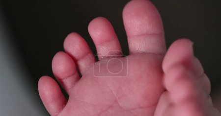 Photo for Tiny newborn baby toes and feet first days of life - Royalty Free Image