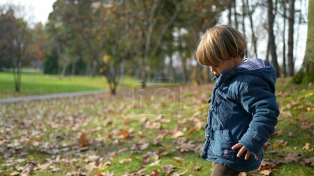 Téléchargez les photos : Enfant explorant Autumn Park - Garçon de 3 ans en veste bleue parmi les feuilles d'orange - en image libre de droit