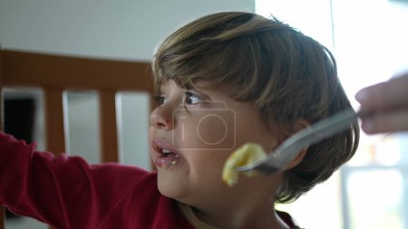 Téléchargez les photos : Enfant refusant la nourriture pendant l'heure du déjeuner, le parent essaie de nourrir les œufs de petit garçon, l'enfant se fâche pendant l'heure du repas - en image libre de droit