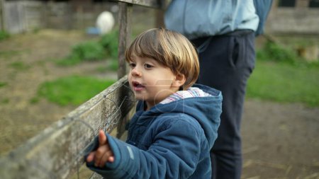 Téléchargez les photos : Curieuse ferme d'observation de 4 ans derrière une clôture en bois, pointant du doigt les animaux - en image libre de droit