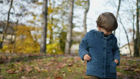 Photo for Child walking at park during autumn season wearing a blue jacket - 3 year old kid putting nut inside pocket while strolling nature amidst orange leaves - Royalty Free Image