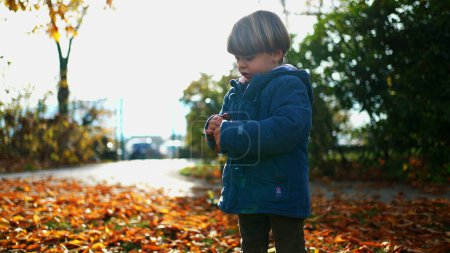 Téléchargez les photos : Mignon petit garçon de 4 ans debout à l'extérieur au parc pendant le jour d'automne d'automne enfant portant une veste bleue au milieu de feuilles orange - en image libre de droit