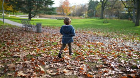 Téléchargez les photos : Joyeux enfant courant au parc pendant la journée d'automne portant une veste bleue et entouré de feuilles d'orange pendant la belle journée de la saison d'automne. garçon de 3 ans explorant la nature - en image libre de droit