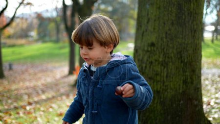 Foto de Boy Walking in Autumnal Park - Niño pequeño en medio de hojas coloridas en el día soleado - Imagen libre de derechos