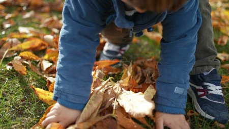 Foto de Niño pequeño en chaqueta Recoger hojas secas de otoño y tirar en el aire, niño feliz sin preocupaciones disfruta de la temporada de otoño - Imagen libre de derechos