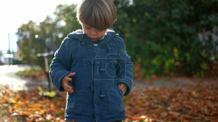 Photo for Child gathering nuts during fall autumn day - Young boy wearing blue jacket amidst orange leafs during sunny day at park - Royalty Free Image