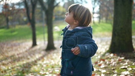 Téléchargez les photos : Enfant explorant la nature debout au parc pendant la saison d'automne regardant le ciel en contemplation - enfant de 3 ans vêtu d'une veste bleue au milieu des feuilles d'orange, expression coûteuse - en image libre de droit