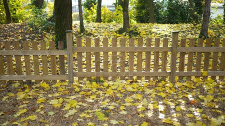 Foto de Valla de madera en Otoño Jardín. demarcación de residencia con hojas amarillas en el suelo - Imagen libre de derechos