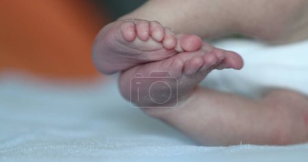 Téléchargez les photos : Baby newborn feet close-up, cute infant feet - en image libre de droit