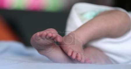 Téléchargez les photos : Close-up of baby feet, newborn toddler in first days of life - en image libre de droit