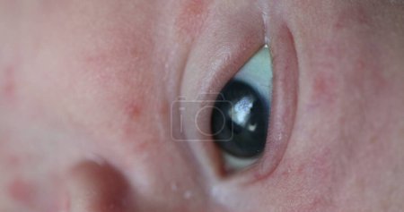 Foto de Macro close-up of newborn baby eyes - Imagen libre de derechos