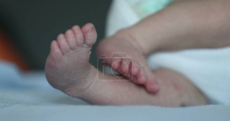 Téléchargez les photos : Baby newborn feet close-up first week of life - en image libre de droit