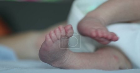 Photo for Baby newborn feet close-up first week of life - Royalty Free Image