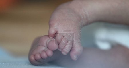 Téléchargez les photos : Baby feet close-up, cute infant foot - en image libre de droit