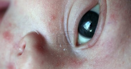 Téléchargez les photos : Macro close-up of newborn baby eyes - en image libre de droit