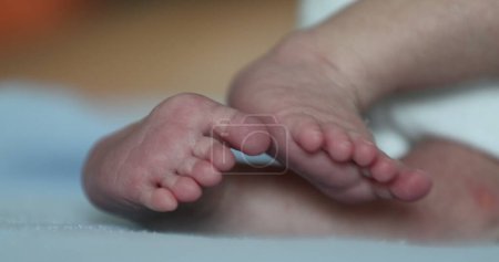 Téléchargez les photos : Baby newborn feet close-up, cute infant feet - en image libre de droit