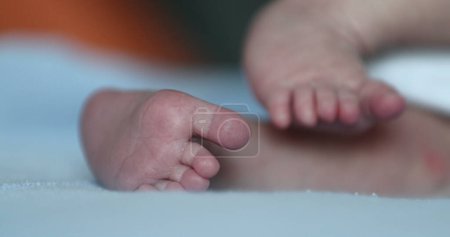 Téléchargez les photos : Petits pieds littel nouveau-nés, dans la première semaine de vie - en image libre de droit