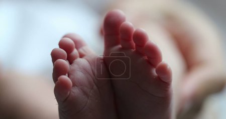Téléchargez les photos : Newborn baby feet in macro close-up. Infant foot together in first week of life - en image libre de droit