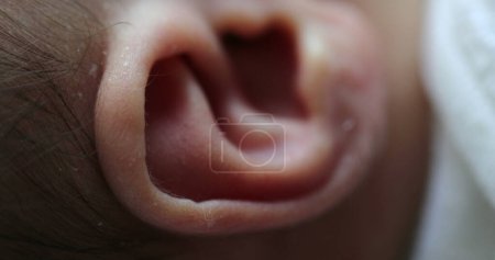 Photo for Newborn macro ear close-up. Infant baby part of the body ear - Royalty Free Image