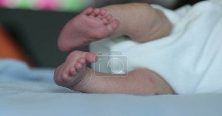 Téléchargez les photos : Newborn feet, close-up of baby tiny feet during first week of life - en image libre de droit